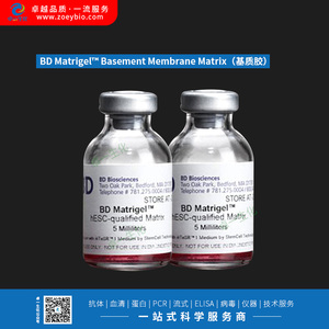 BD Matrigel™ Basement Membrane Matrix（基质胶）